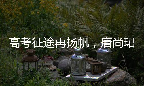 高考征途再揚帆，唐尚珺清華夢續(xù)傳奇——高考路上的奮斗故事第十六回