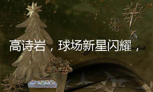 高詩(shī)巖，球場(chǎng)新星閃耀，砍下驚艷數(shù)據(jù)，二分爆發(fā)14次射門(mén)十進(jìn)九出創(chuàng)造歷史——他在XX比賽的耀眼表現(xiàn)大解密