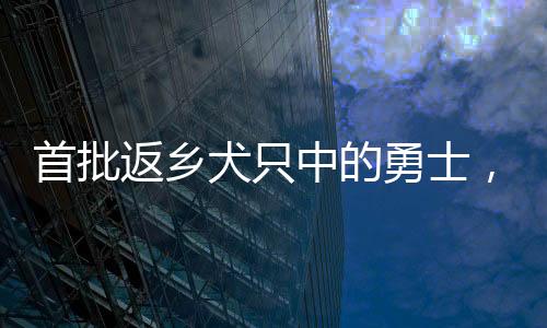 首批返鄉(xiāng)犬只中的勇士，冒險(xiǎn)回歸，有只掉糞坑的故事