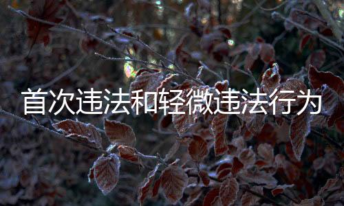 首次違法和輕微違法行為不予處罰，十二種情形詳解