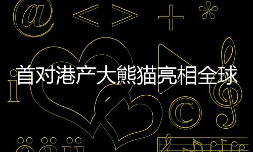 首對(duì)港產(chǎn)大熊貓亮相全球矚目，共慶美好瞬間