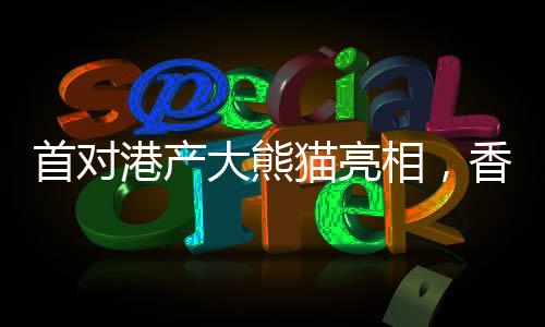 首對(duì)港產(chǎn)大熊貓亮相，香港掀起熊貓熱潮