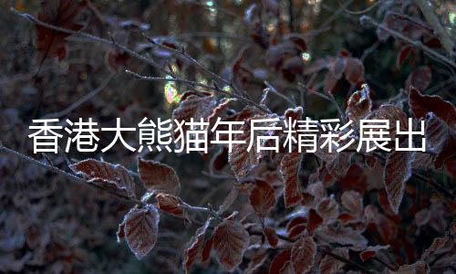 香港大熊貓年后精彩展出，一覽珍稀國寶的風(fēng)采