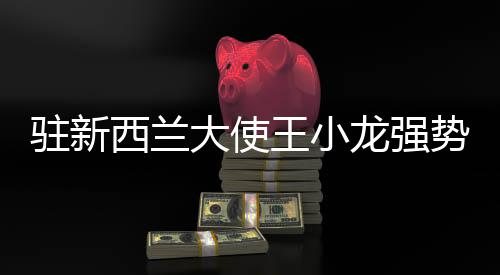 駐新西蘭大使王小龍強勢回懟外國記者，傳遞真實聲音，捍衛(wèi)國家利益