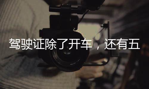 駕駛證除了開車，還有五大隱藏功能