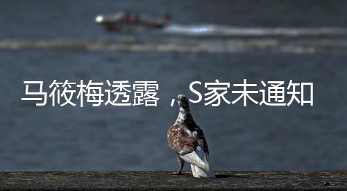 馬筱梅透露，S家未通知孩子們參加大S葬禮