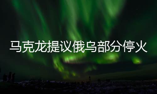 馬克龍?zhí)嶙h俄烏部分?；鹨粋€月，探尋背后原因與期待的影響