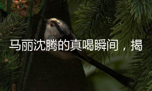 馬麗沈騰的真喝瞬間，揭開背后的故事與真實(shí)面貌