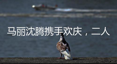馬麗沈騰攜手歡慶，二人展現(xiàn)真實豪邁的酒桌風(fēng)采