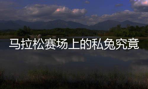 馬拉松賽場上的私兔究竟是何來頭？