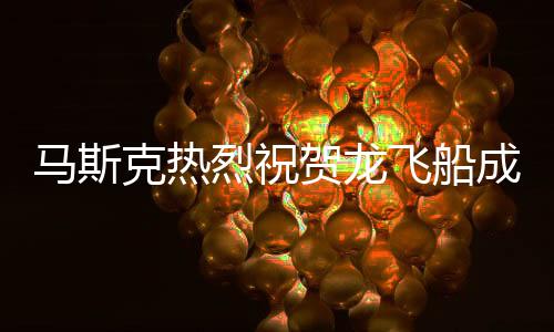 馬斯克熱烈祝賀龍飛船成功返回，開辟太空探索新紀(jì)元的一刻