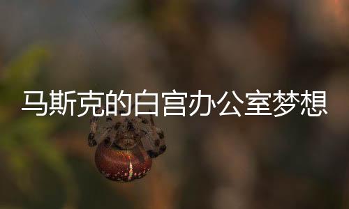 馬斯克的白宮辦公室夢想破滅，被拒之謎的背后探討