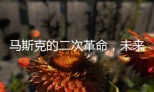 馬斯克的二次革命，未來之路能否成功？