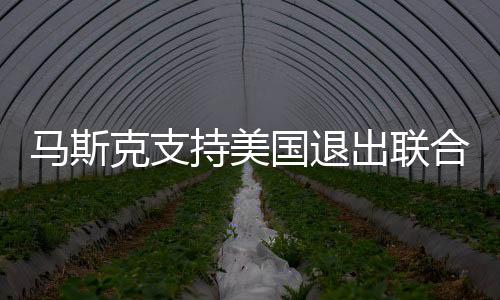 馬斯克支持美國(guó)退出聯(lián)合國(guó)和北約，全球格局的新思考？