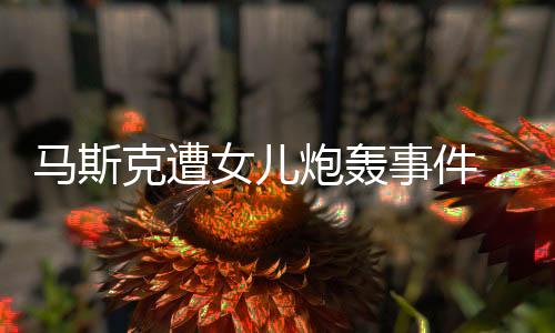 馬斯克遭女兒炮轟事件，數(shù)字一二三四背后的深度解析