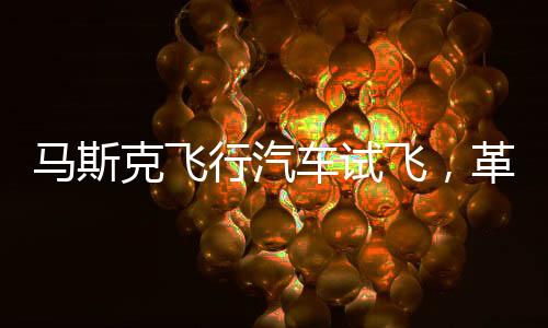馬斯克飛行汽車試飛，革新交通的未來展望