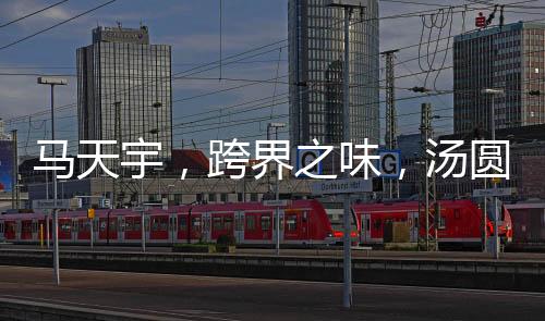 馬天宇，跨界之味，湯圓新傳奇