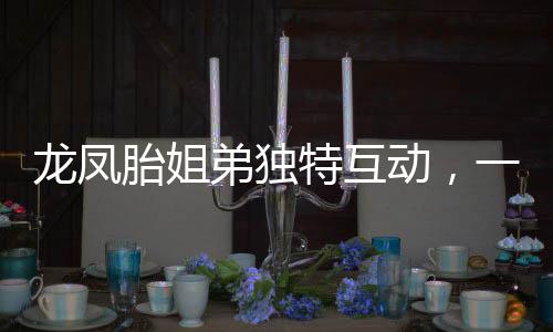 龍鳳胎姐弟獨(dú)特互動(dòng)，一見(jiàn)面便掀起歡樂(lè)‘打鬧’戰(zhàn)
