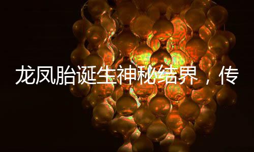 龍鳳胎誕生神秘結(jié)界，傳說與現(xiàn)實交匯的奇跡