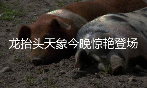 龍?zhí)ь^天象今晚驚艷登場，壯麗星辰昭示美好寓意