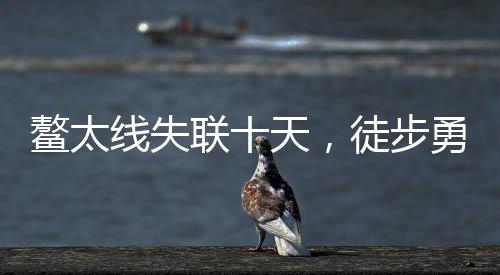 鰲太線(xiàn)失聯(lián)十天，徒步勇士奇跡生還
