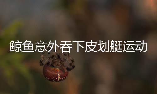 鯨魚意外吞下皮劃艇運(yùn)動(dòng)員又吐出，海洋奇跡還是驚魂一刻？