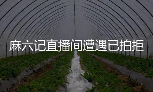 麻六記直播間遭遇已拍拒收風波，探究背后的真相