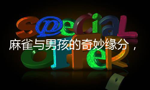 麻雀與男孩的奇妙緣分，一次不舍的相遇與放飛