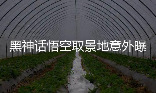 黑神話悟空取景地意外曝光，驚艷畫面竟現(xiàn)于鉛筆尖