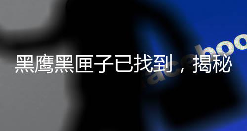 黑鷹黑匣子已找到，揭秘事件背后的故事