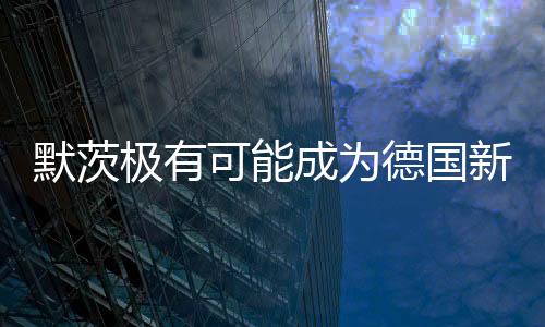 默茨極有可能成為德國(guó)新總理新聞報(bào)導(dǎo)