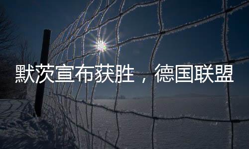 默茨宣布獲勝，德國聯(lián)盟黨贏得大選