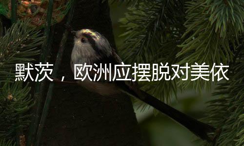 默茨，歐洲應(yīng)擺脫對(duì)美依賴