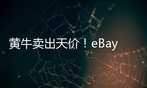 黃牛賣(mài)出天價(jià)！eBay上RTX 5090最高要9000美元
