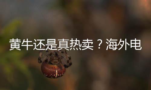 黃牛還是真熱賣(mài)？海外電商RTX 50系列顯卡20分鐘搶光