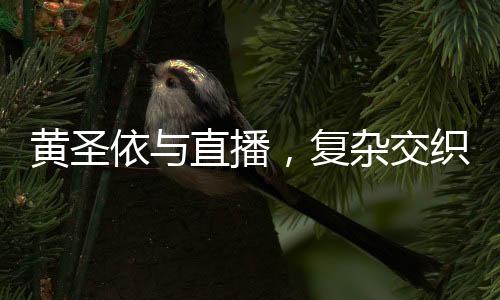黃圣依與直播，復雜交織的輿論探討