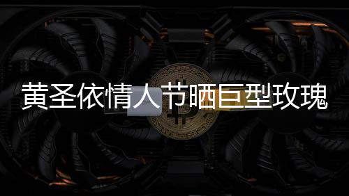 黃圣依情人節(jié)曬巨型玫瑰，浪漫驚喜引發(fā)網(wǎng)友熱議