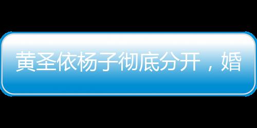 黃圣依楊子徹底分開(kāi)，婚姻之路終告段落