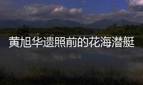 黃旭華遺照前的花海潛艇，緬懷傳奇人物的無盡敬意