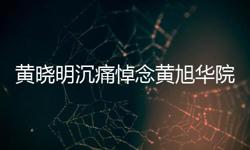 黃曉明沉痛悼念黃旭華院士，共同緬懷科學巨匠