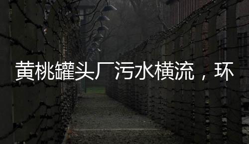 黃桃罐頭廠污水橫流，環(huán)保問題亟待解決