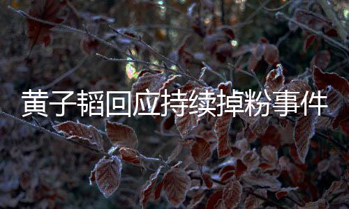 黃子韜回應(yīng)持續(xù)掉粉事件，內(nèi)心深感失望與傷心