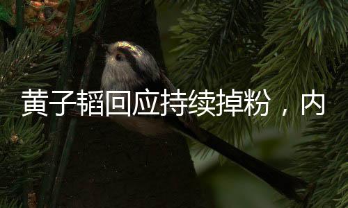 黃子韜回應(yīng)持續(xù)掉粉，內(nèi)外因素交織，明星粉絲困境之思考