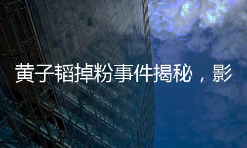 黃子韜掉粉事件揭秘，影響力驟減背后的真相，掉粉已超400萬(wàn)