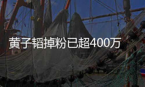 黃子韜掉粉已超400萬，社交時代的流量風(fēng)波揭秘