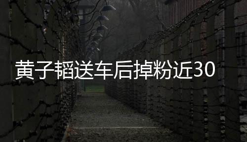 黃子韜送車后掉粉近300萬，事件背后的真相與反思