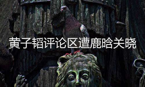黃子韜評論區(qū)遭鹿晗關曉彤粉絲刷屏，引發(fā)網(wǎng)友熱議