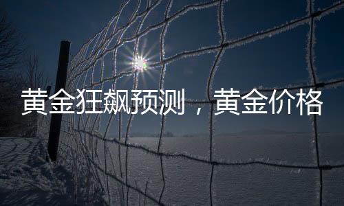 黃金狂飆預(yù)測，黃金價格有望突破至5000美元——深度分析與展望