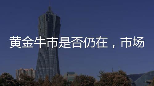 黃金牛市是否仍在，市場(chǎng)分析與展望