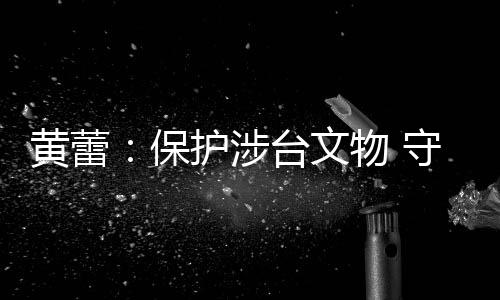 黃蕾：保護(hù)涉臺(tái)文物 守護(hù)共同記憶